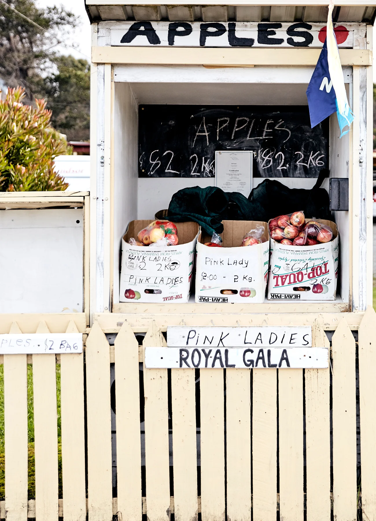 Lifestyle & Travel Photography | Nic Gossage | Huonville, Tasmania
