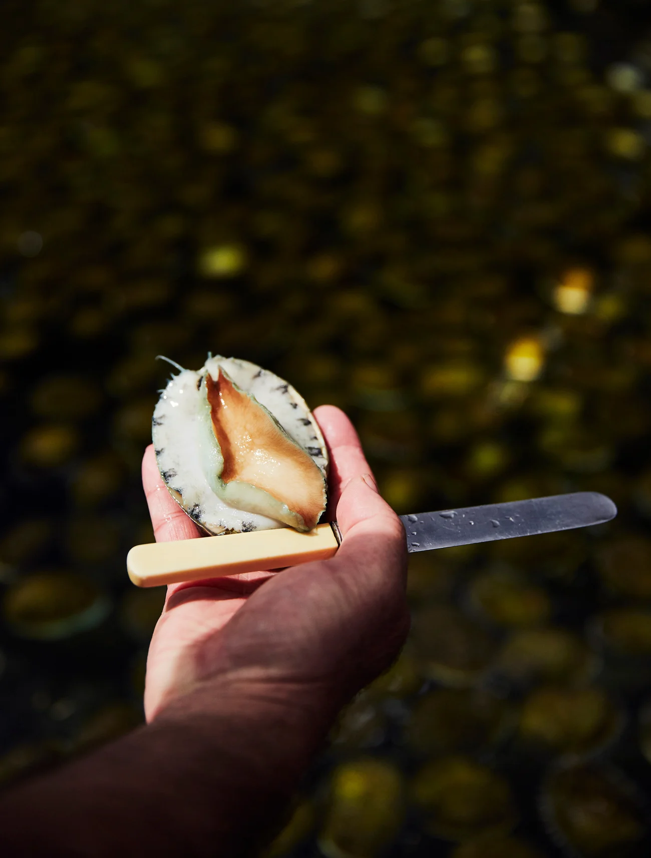 Lifestyle, Travel and Food Photography | Nic Gossage | Sydney, Australia