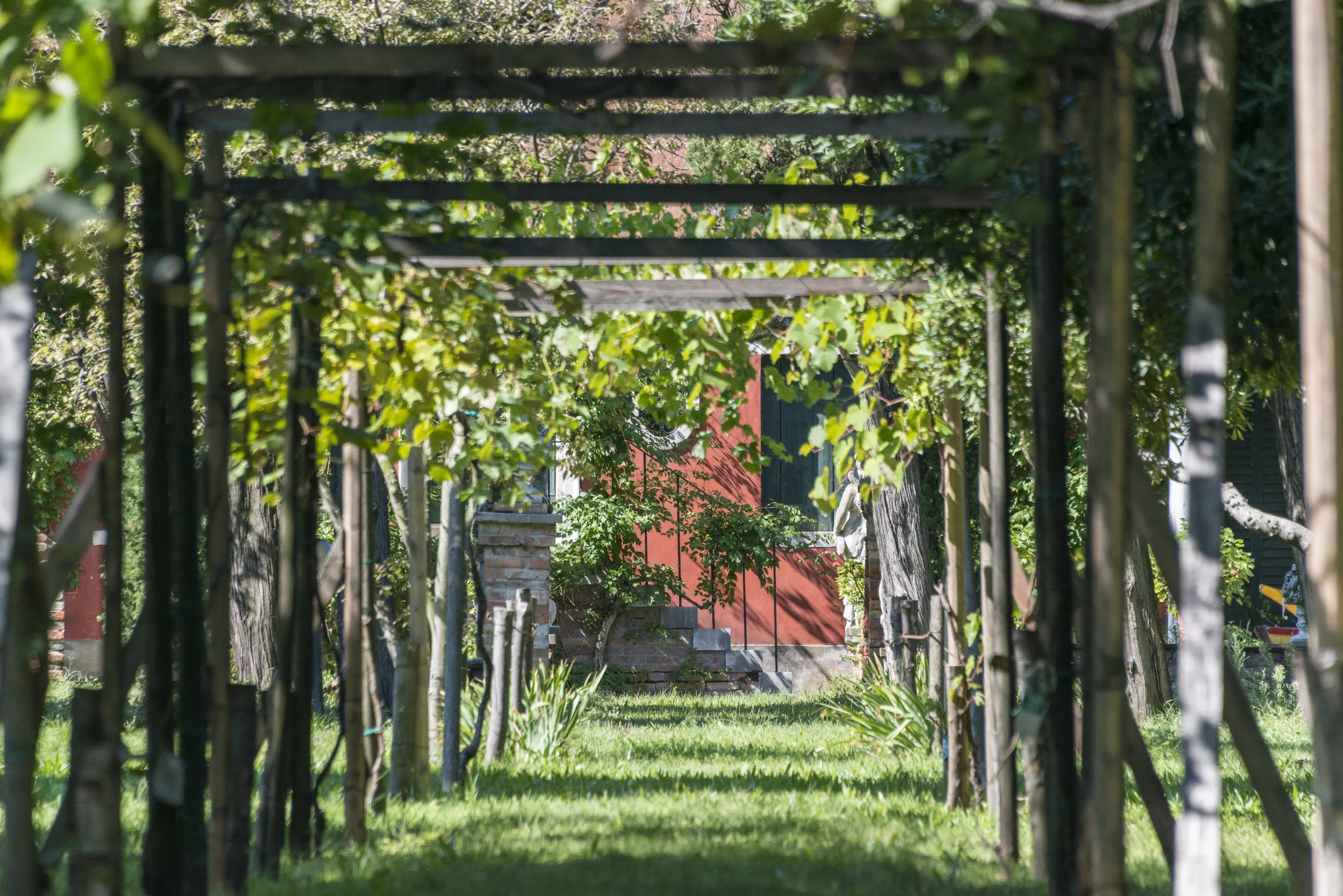 VenizGarden-678_HD.jpg
