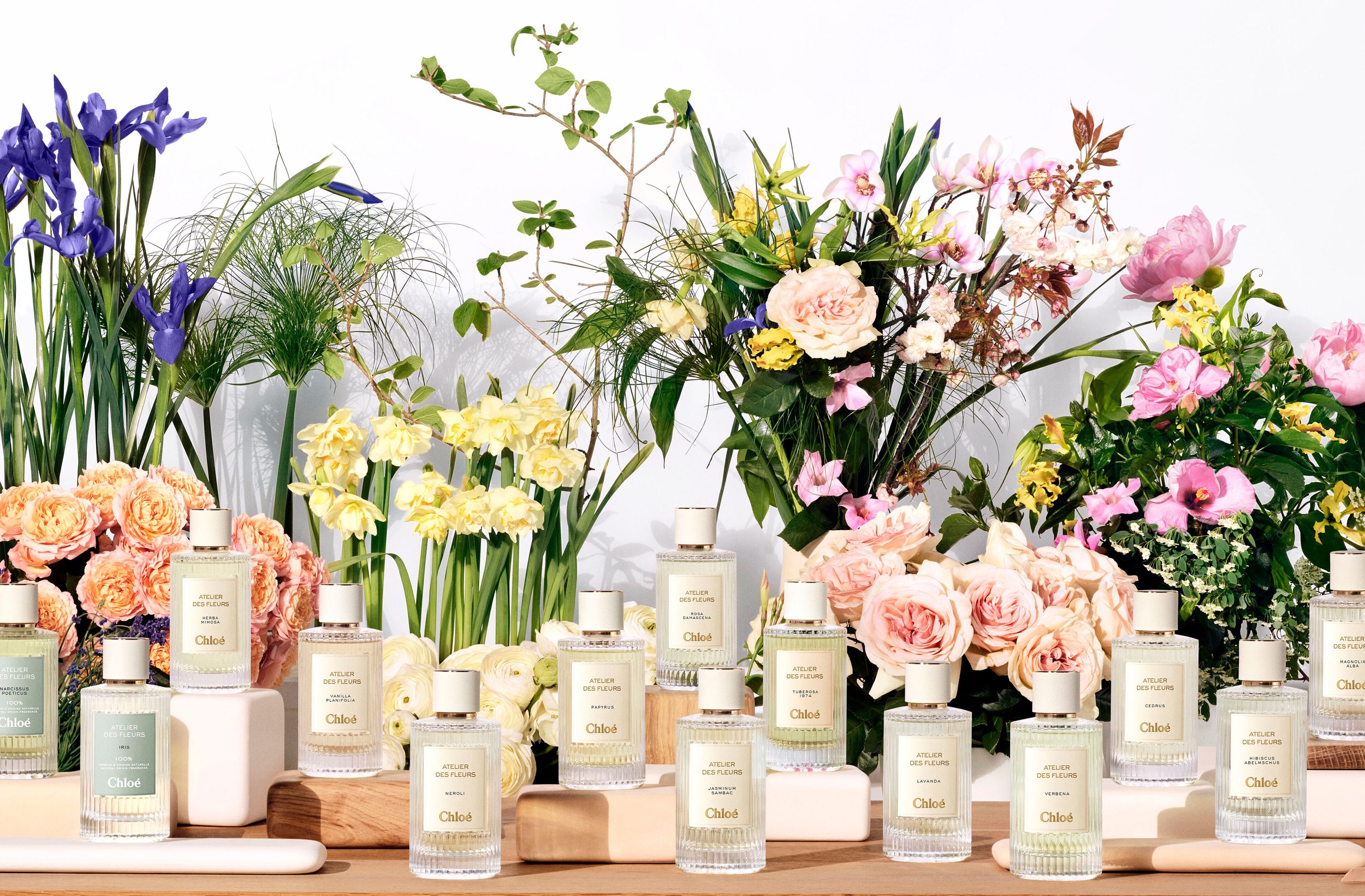 Chloé, Atelier des Fleurs