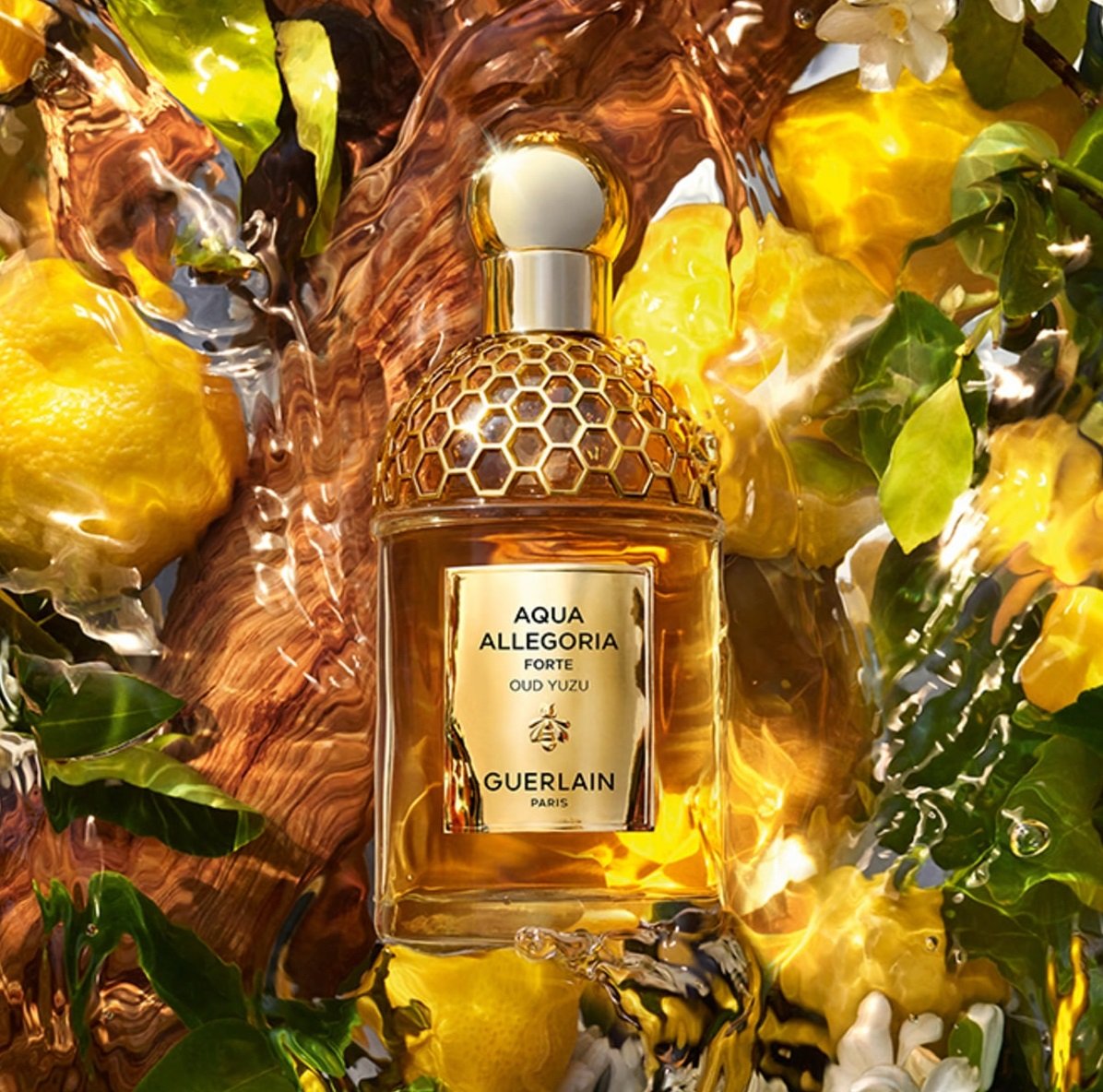 guerlain-aqua-allegoria-oud-yuzu-forte-opinie.jpg