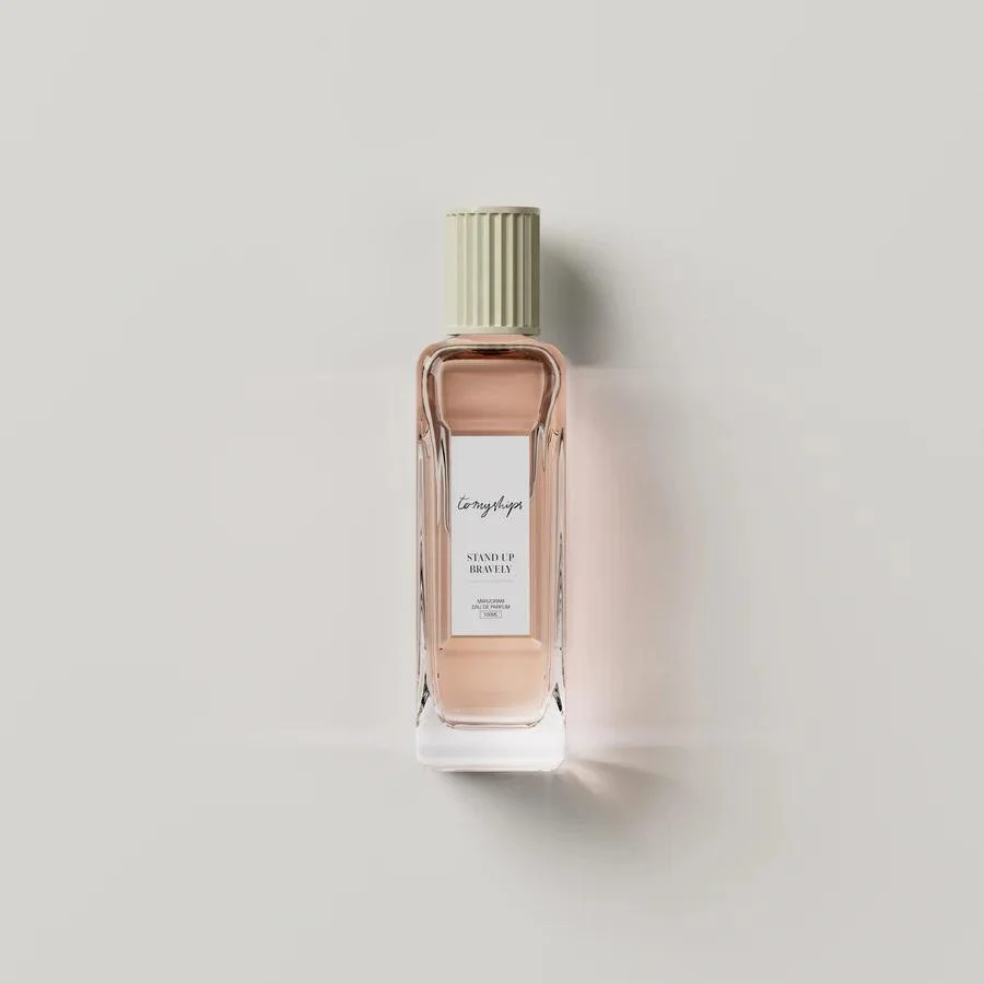 To My Ships - Stand Up Bravely