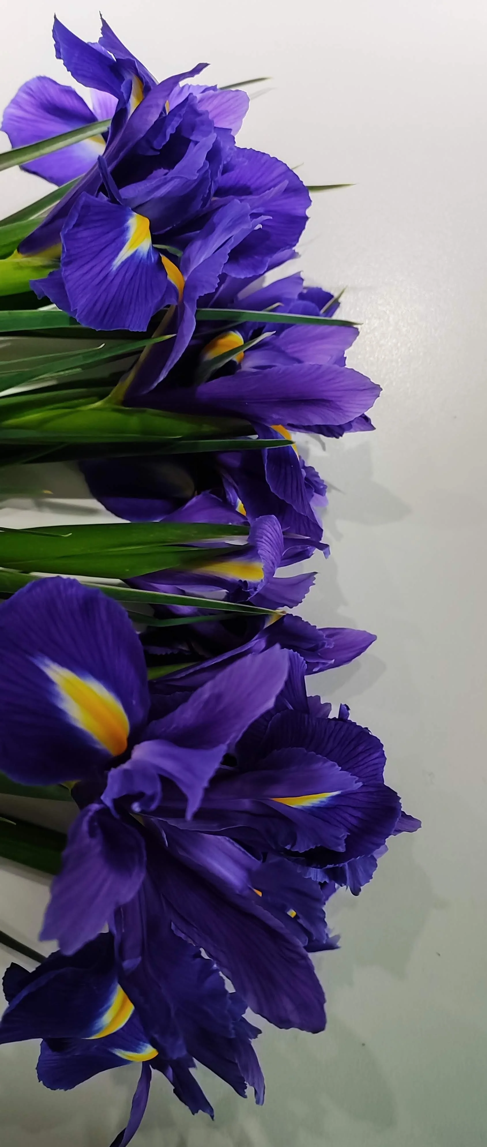 IMG_20220130_091626~2.jpg