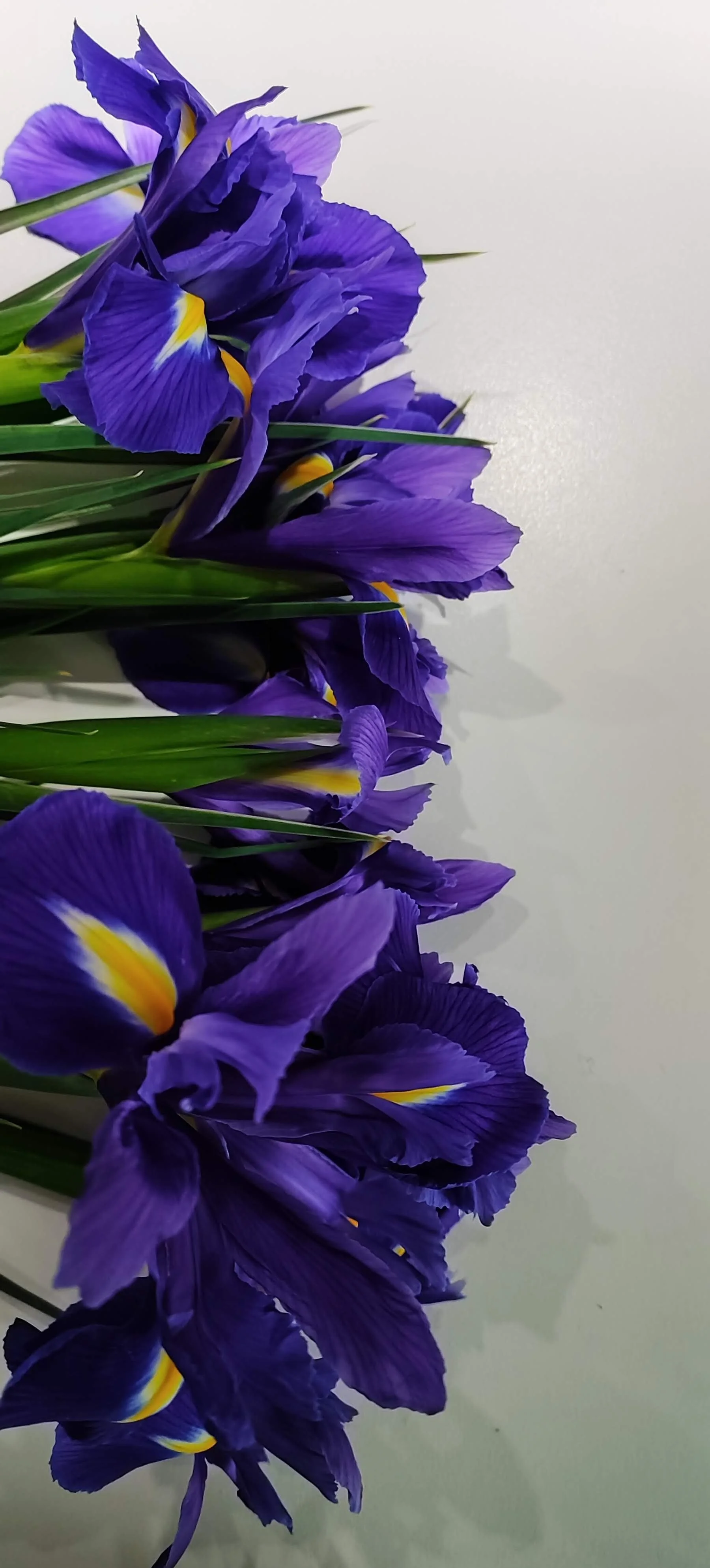 IMG_20220130_091626~3.jpg