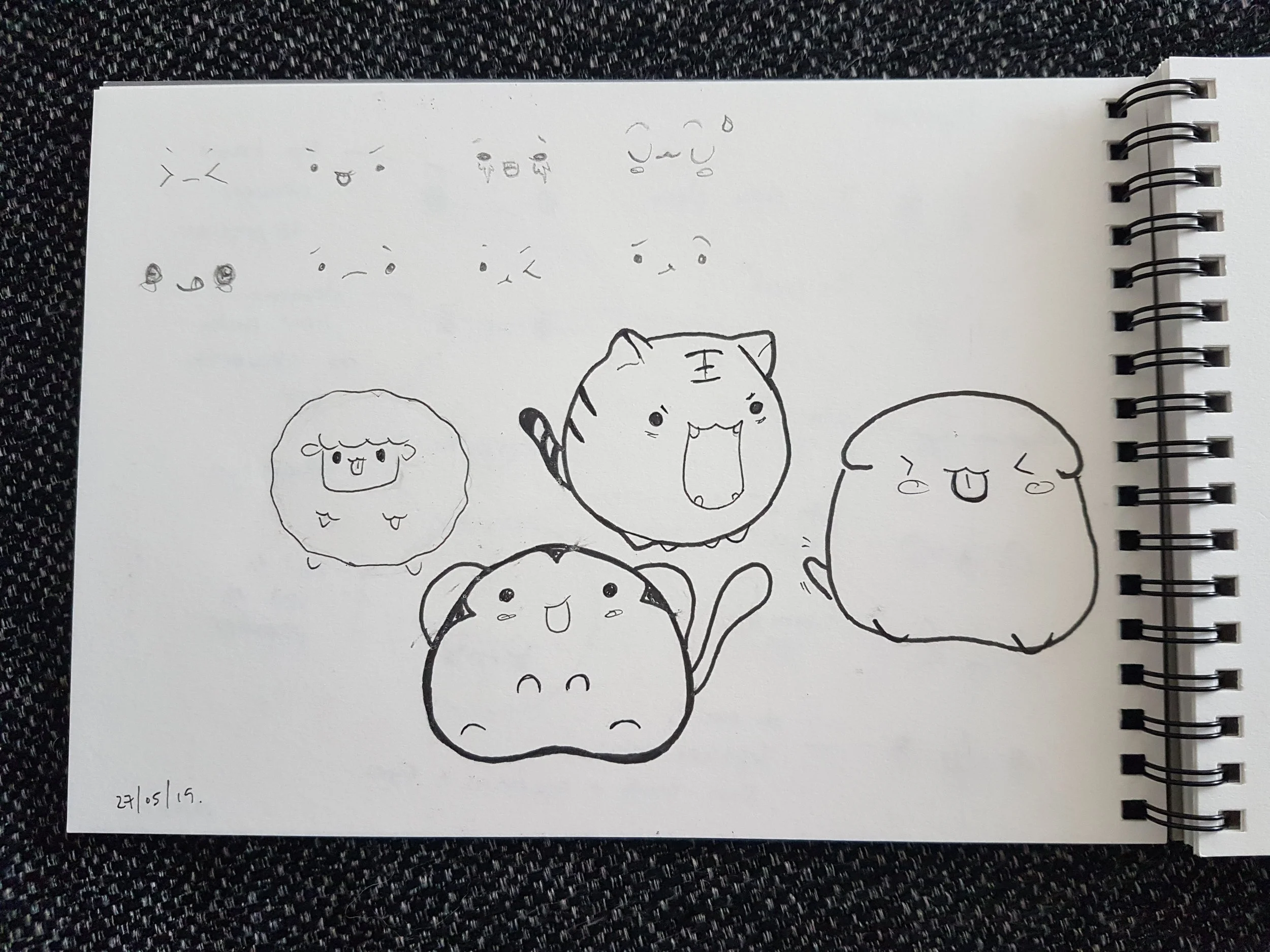 20190613_170055.jpg
