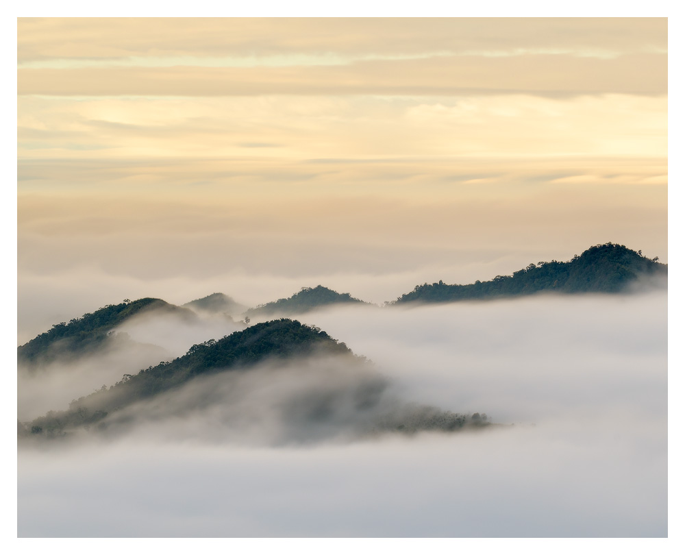 Detail shot with the 70-200 from Xiding at sunrise.