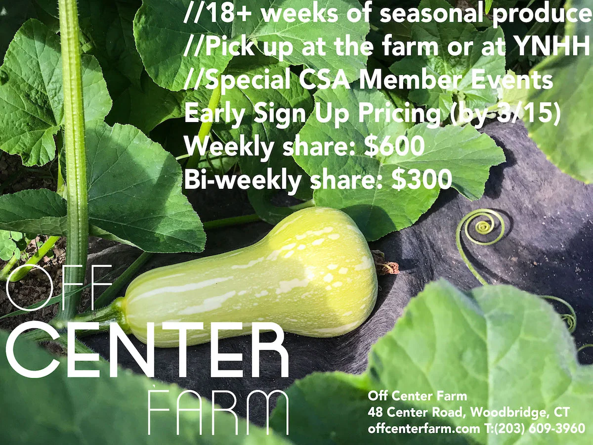 Off Center Farm-CSA Flyer Butternut Squash SMALL.jpg