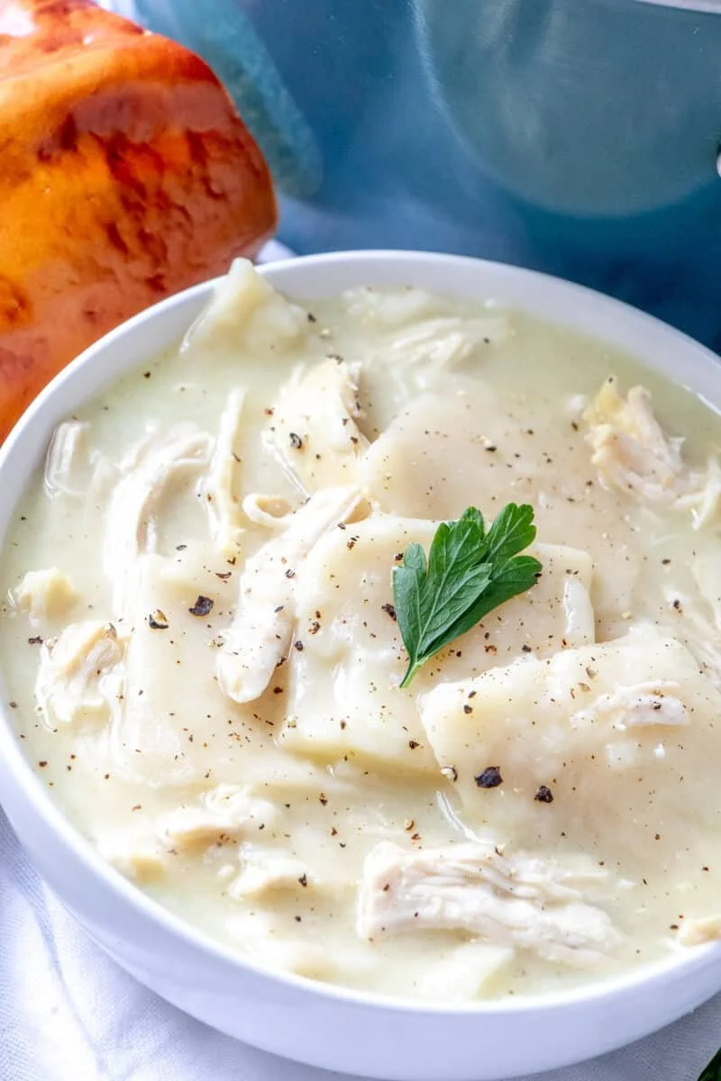Amy's Southern Style Chicken & Dumplings