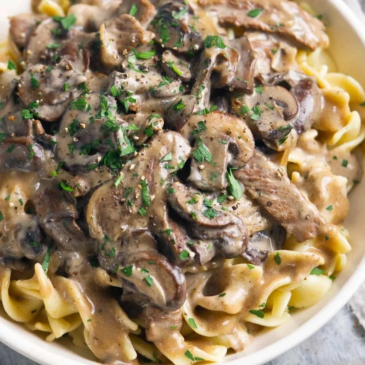 beef-stroganoff-b_100.jpg