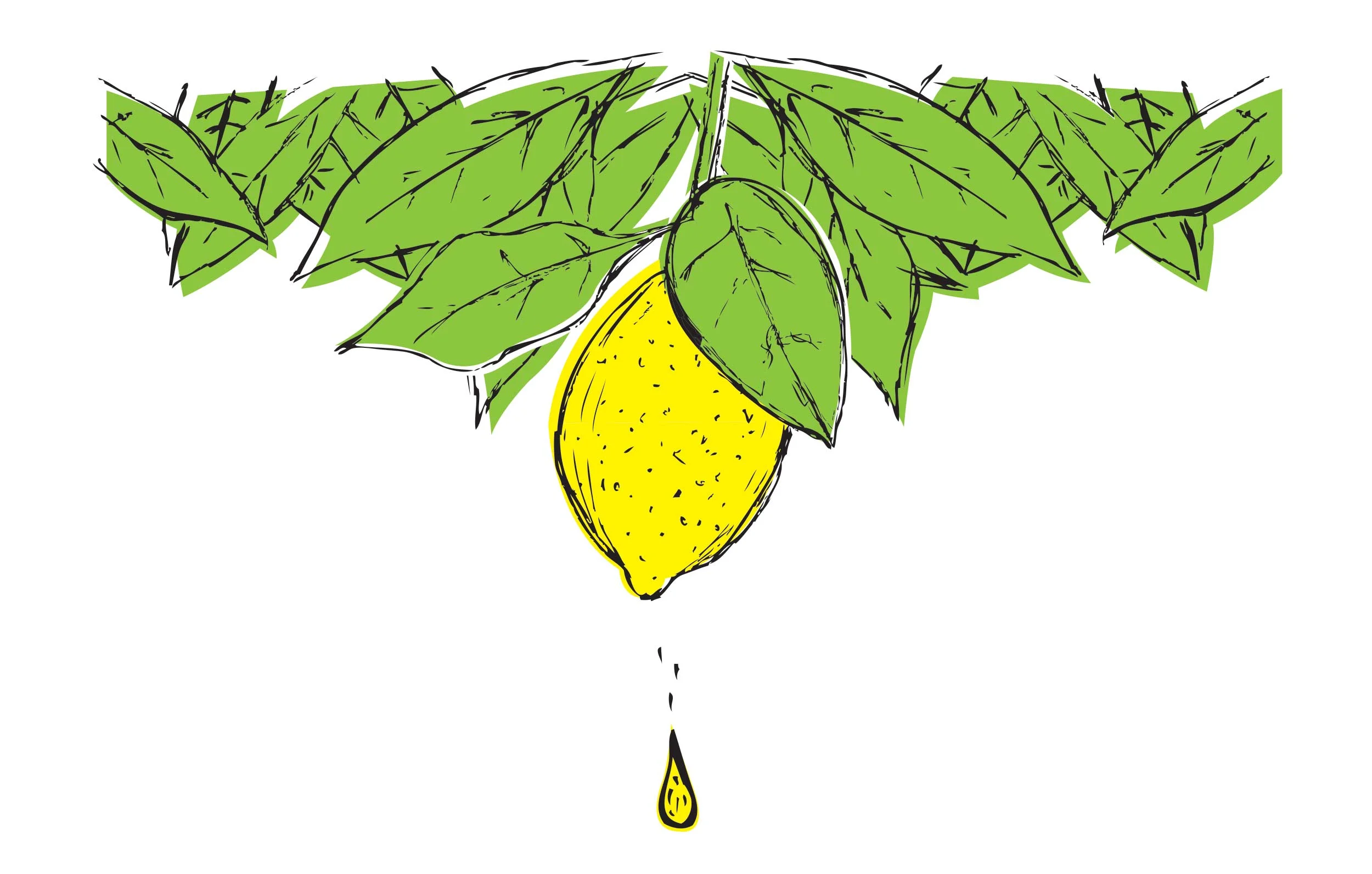 lemons.jpg