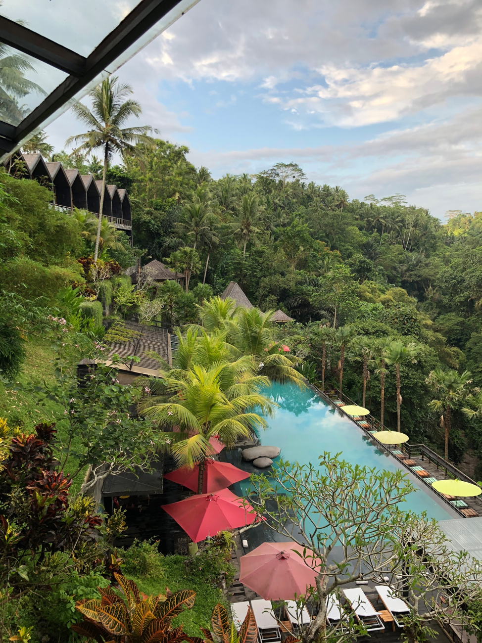 Jungle 1 .png
