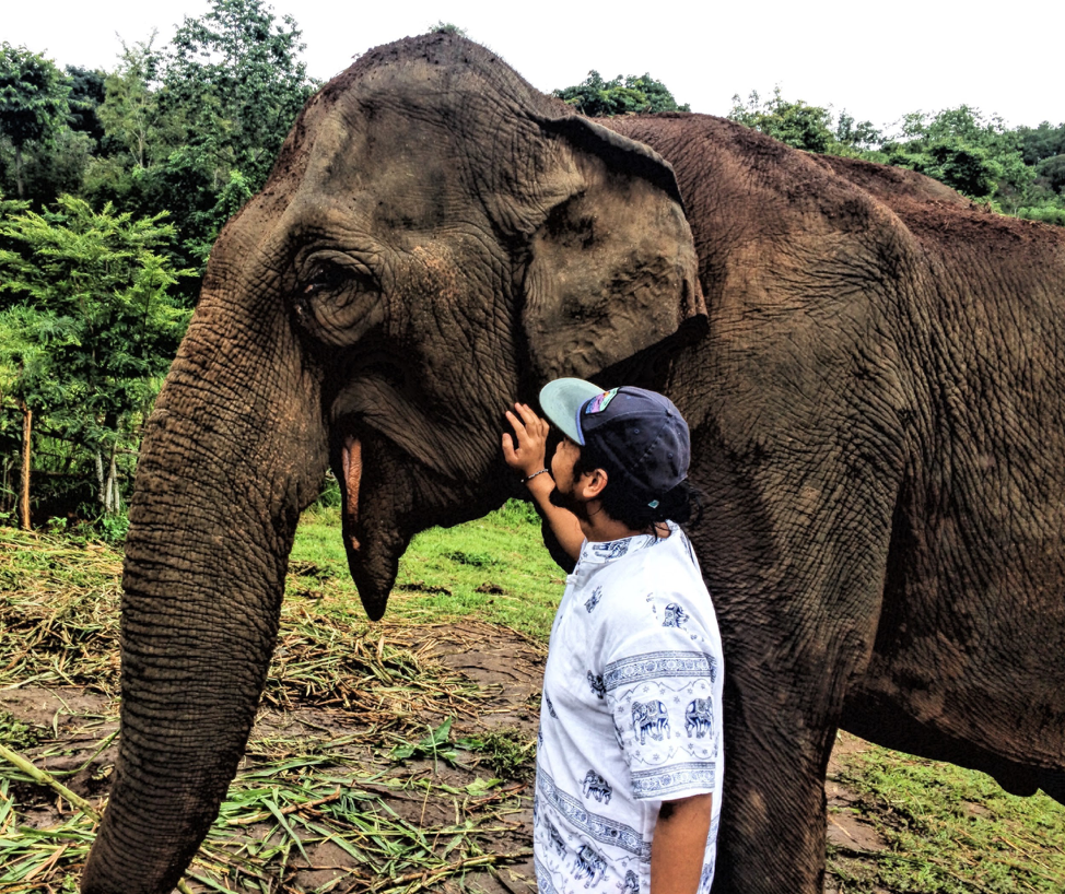 elephant 4.png
