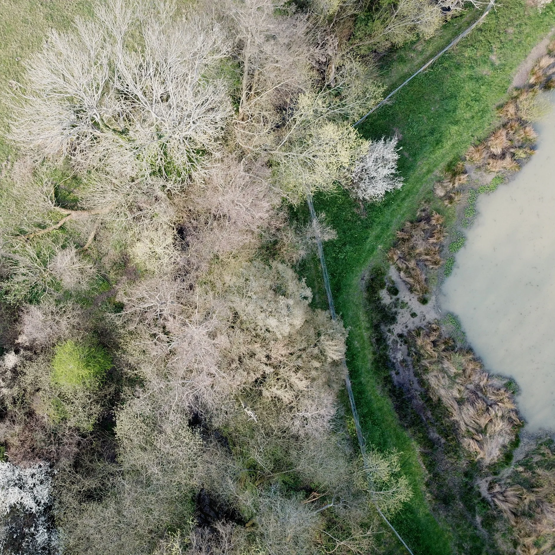 DJI_0160.jpg