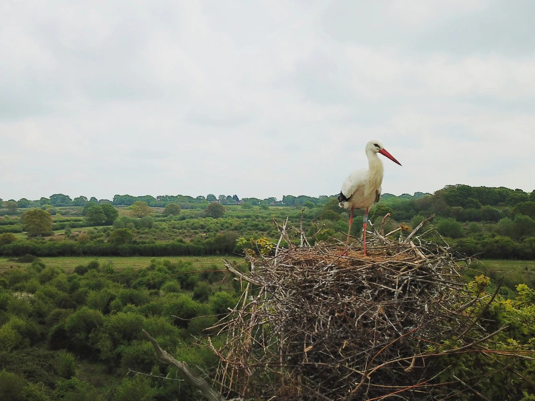 DJI_0014.jpg