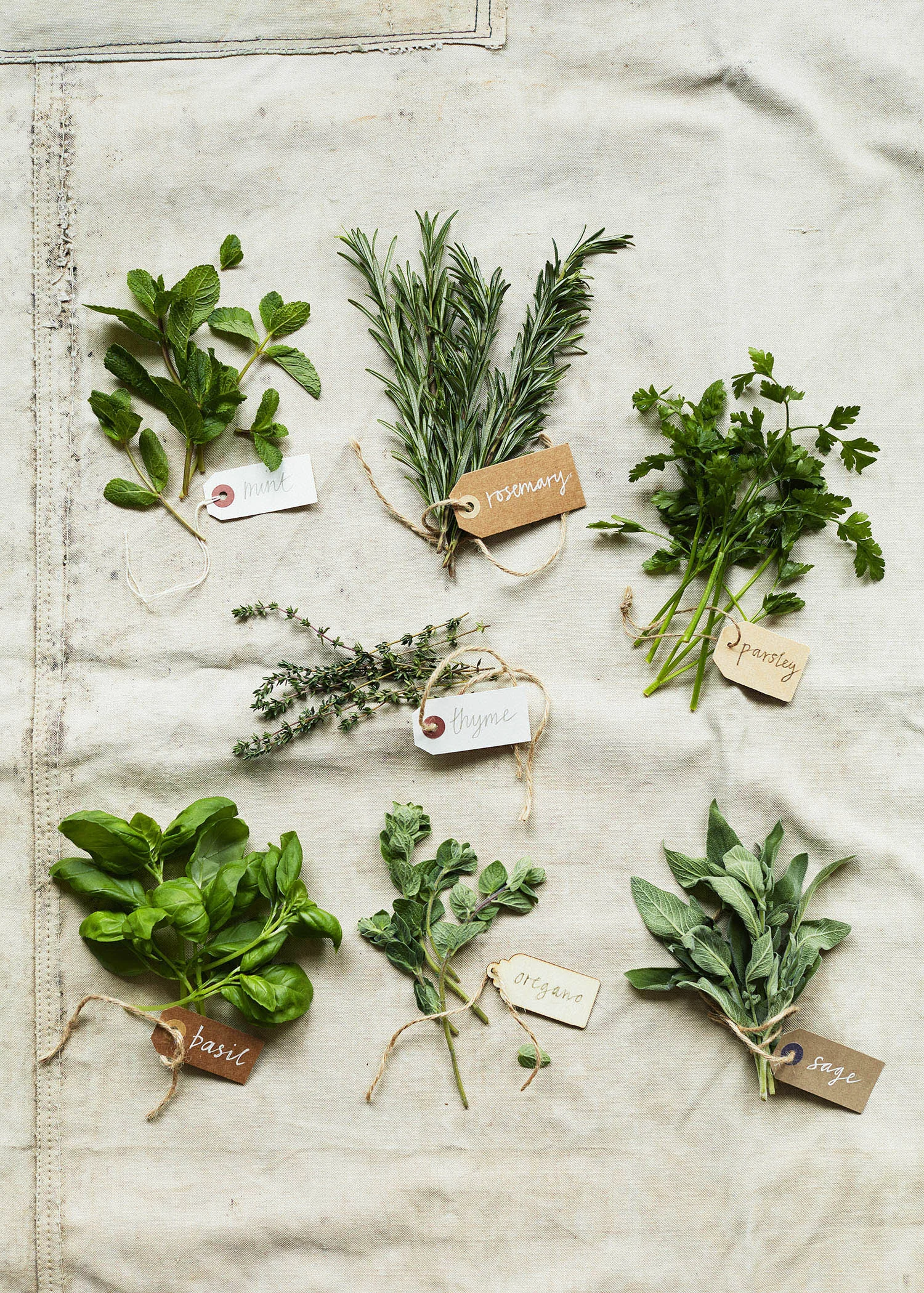 Herbs_011.jpg