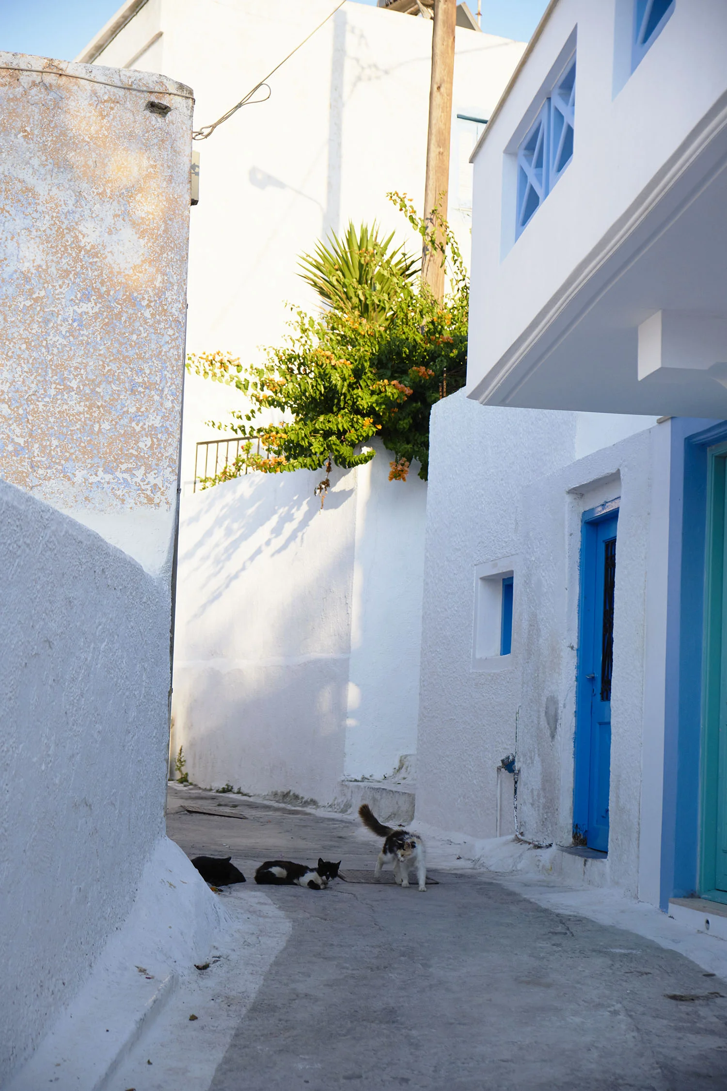 LerosTravel_0108.jpg