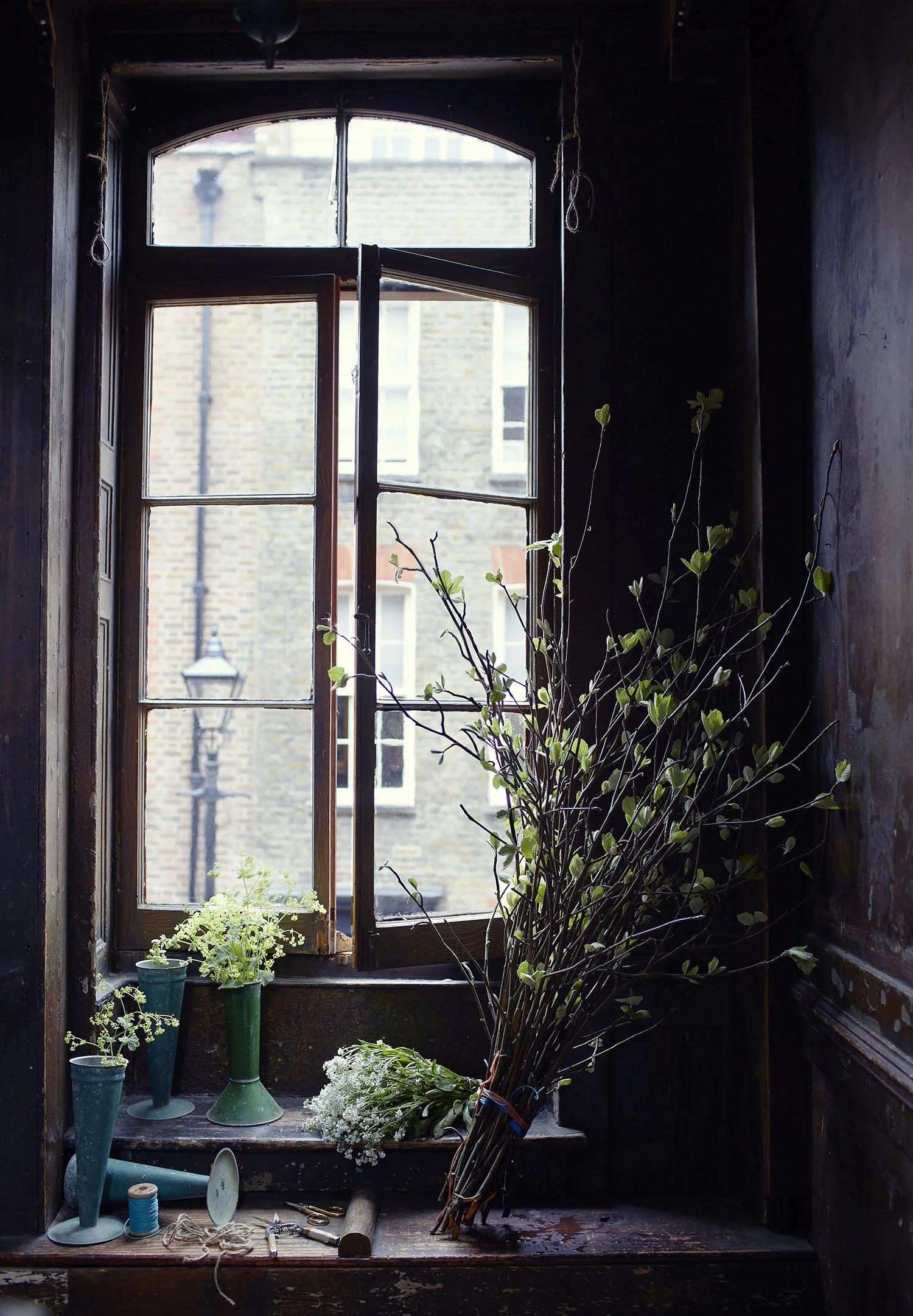FoliageByWindow_009.jpg