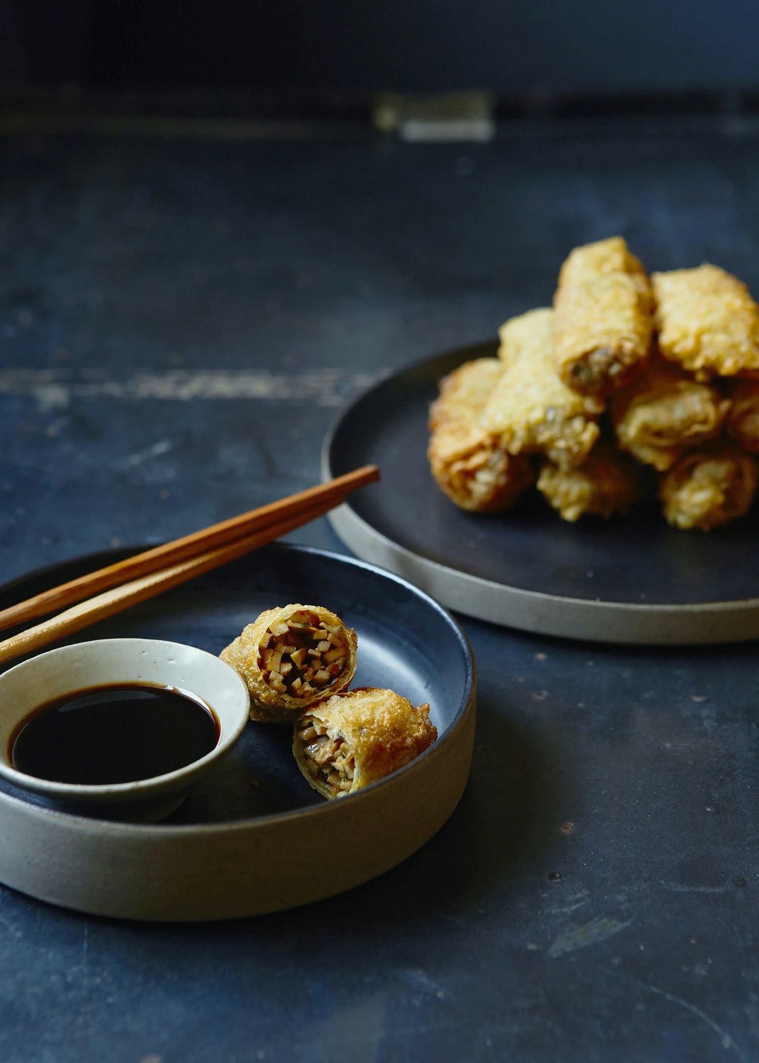 VegTofuRolls_016.jpg