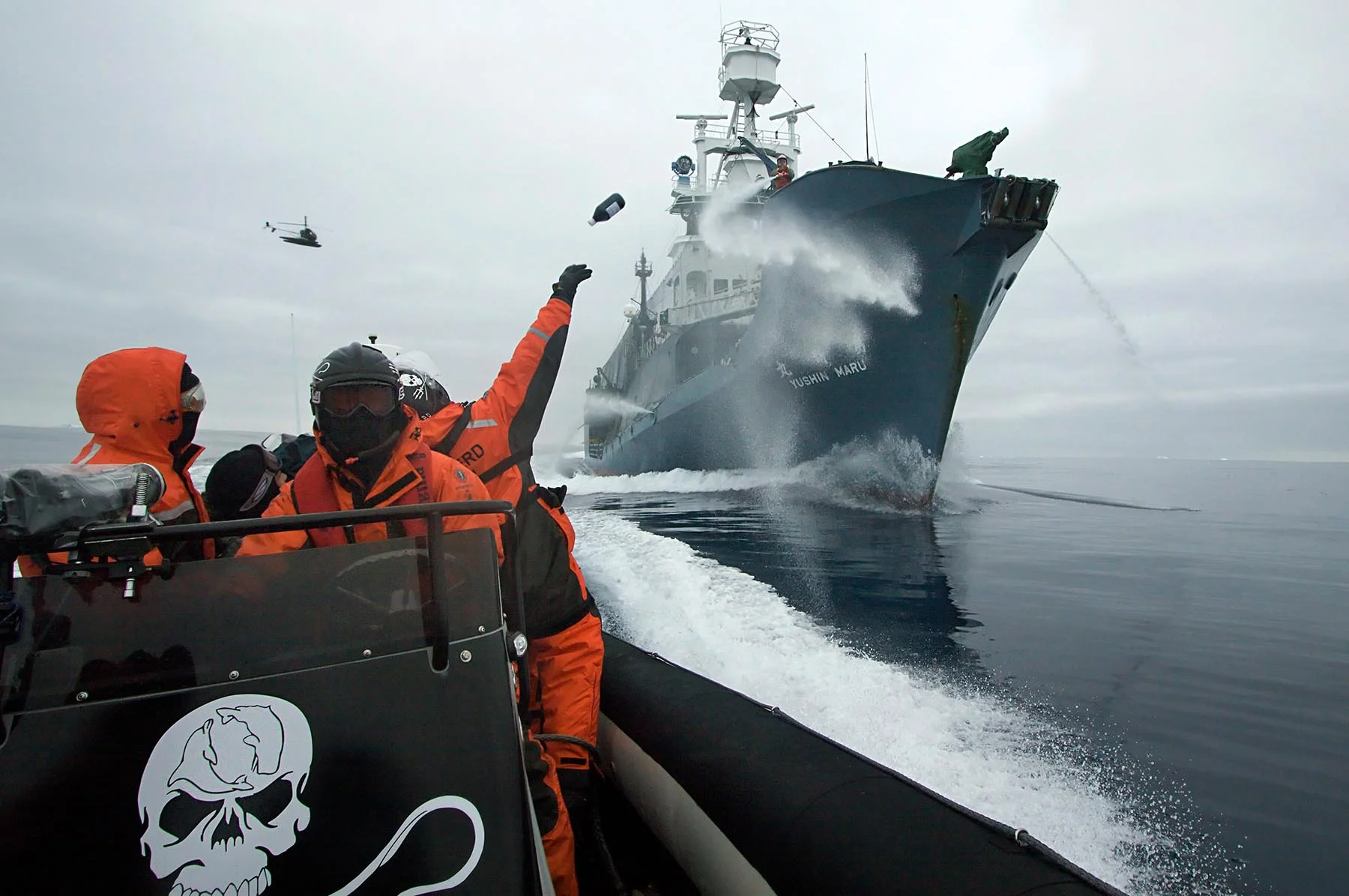 Adam_Lau_Whale_Warriors_090202_0047061.jpg