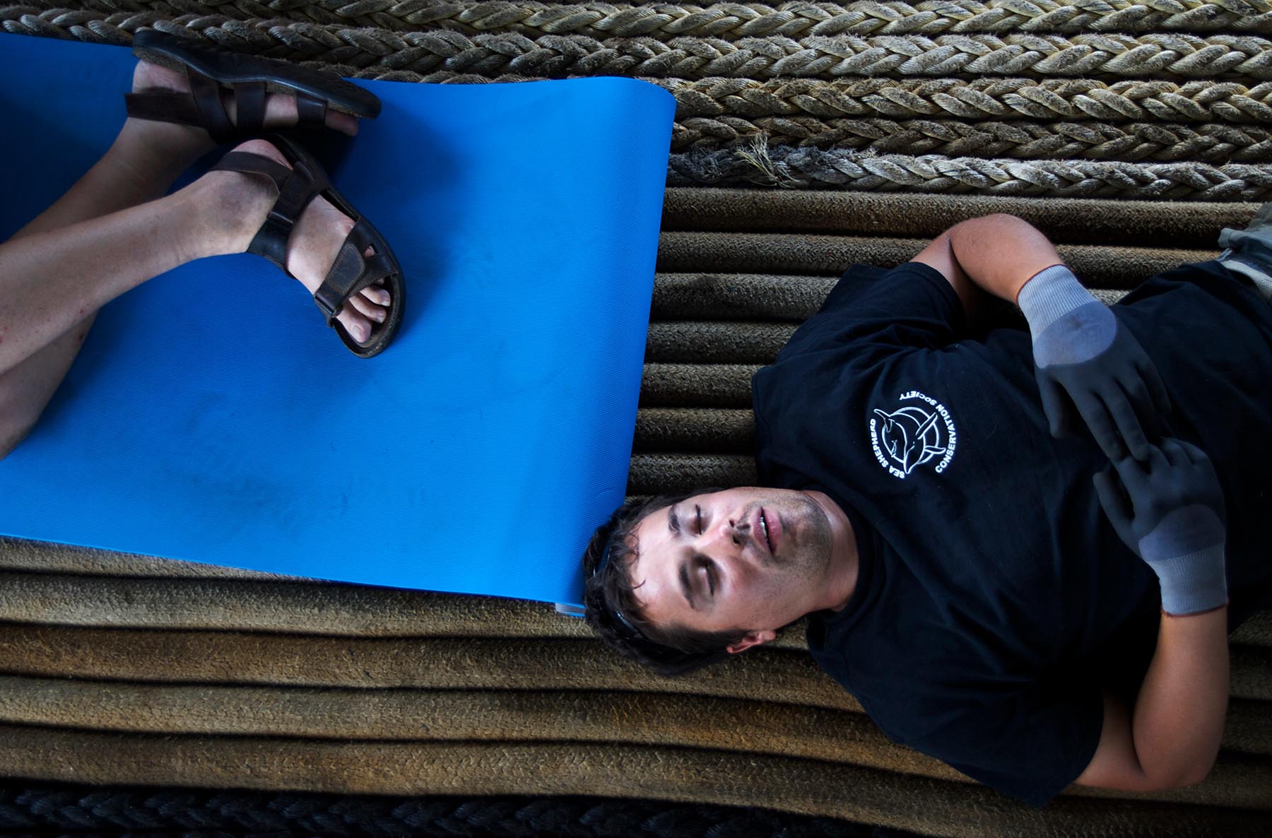 Adam_Lau_Whale_Warriors_081204_0019340.jpg