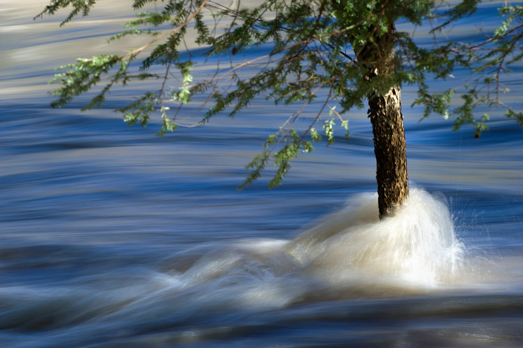 AdamLau_Tennessee_Wilds_08.jpg