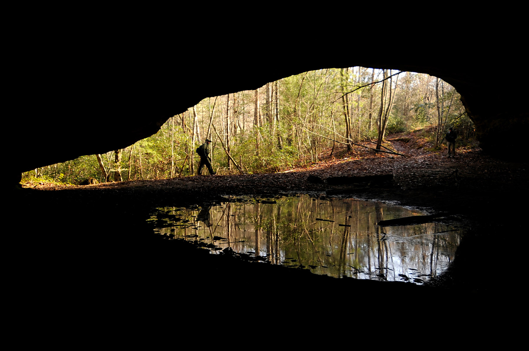 AdamLau_Tennessee_Wilds_11.jpg