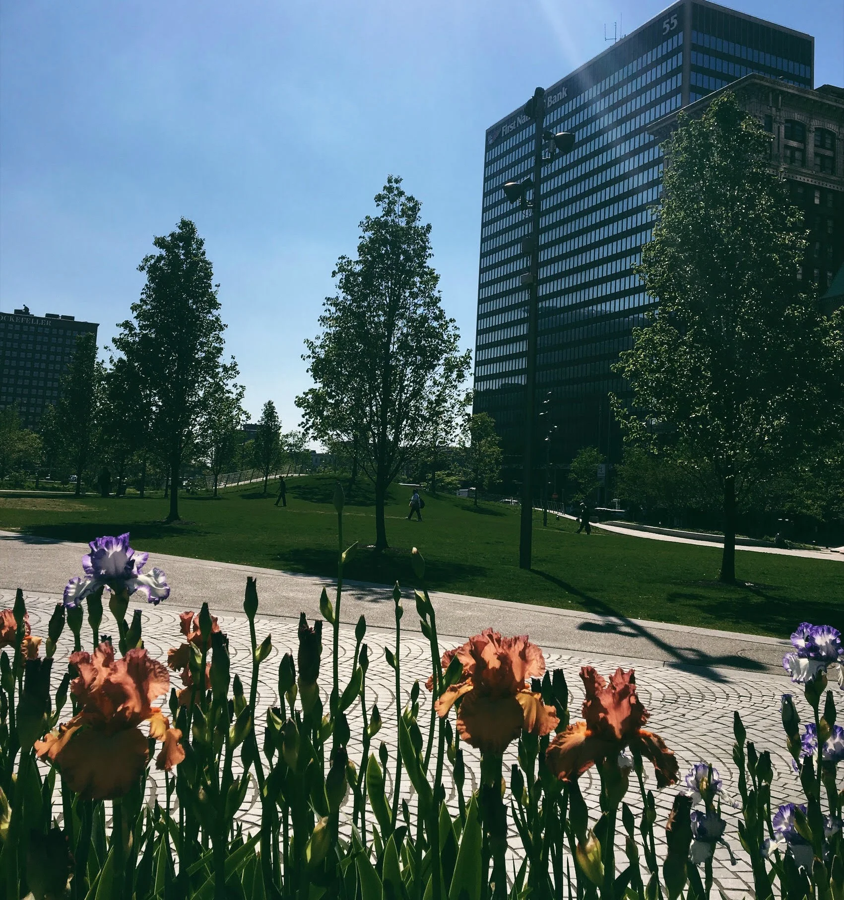 afternoon traversing