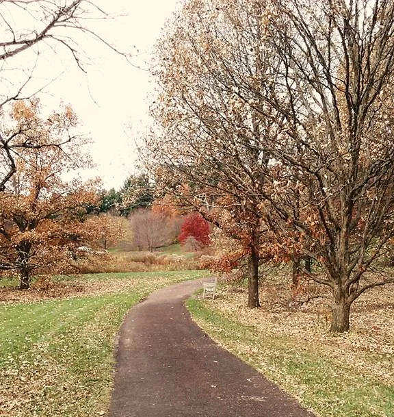 making a home out of yourself