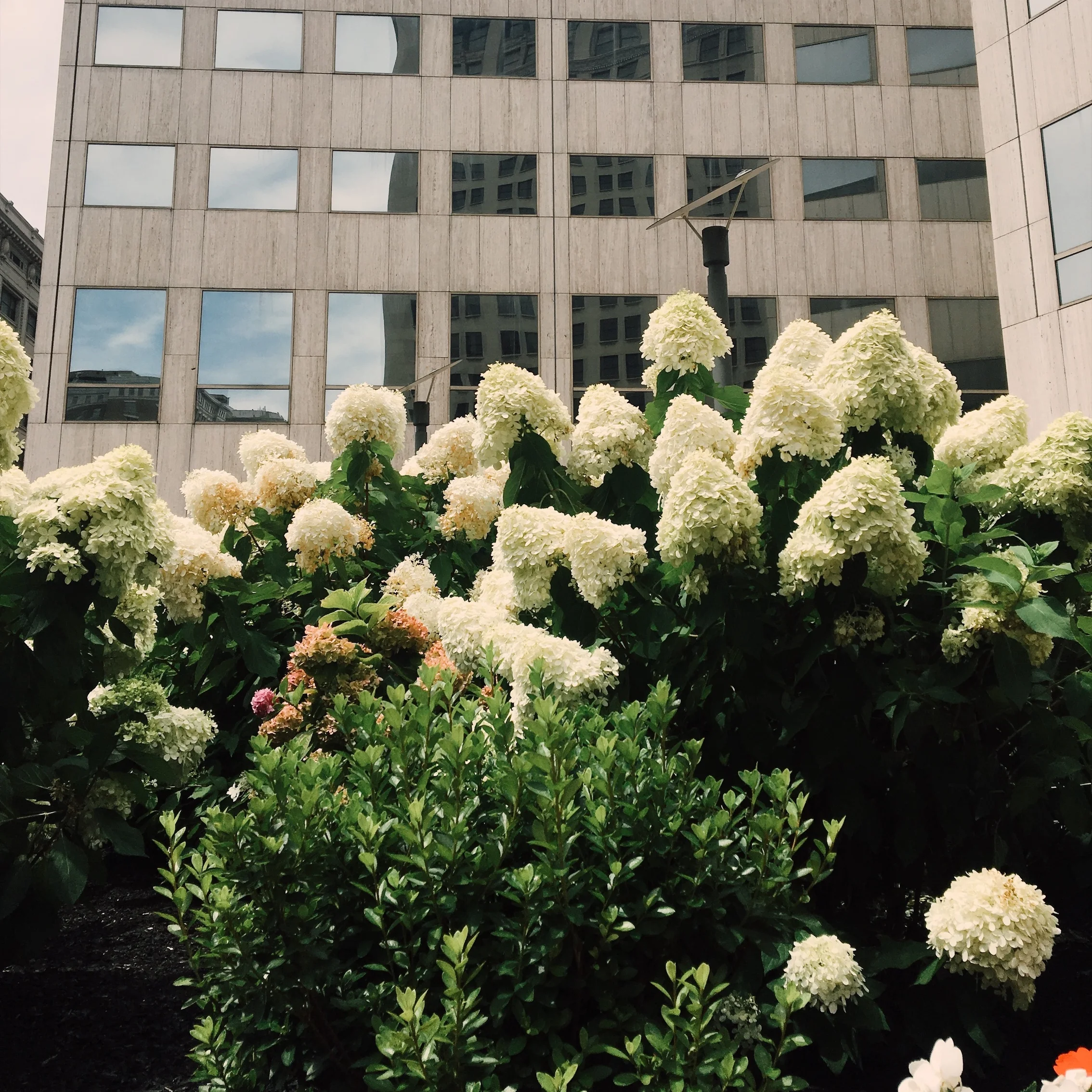 a write of passage: cleveland inkubator 2017