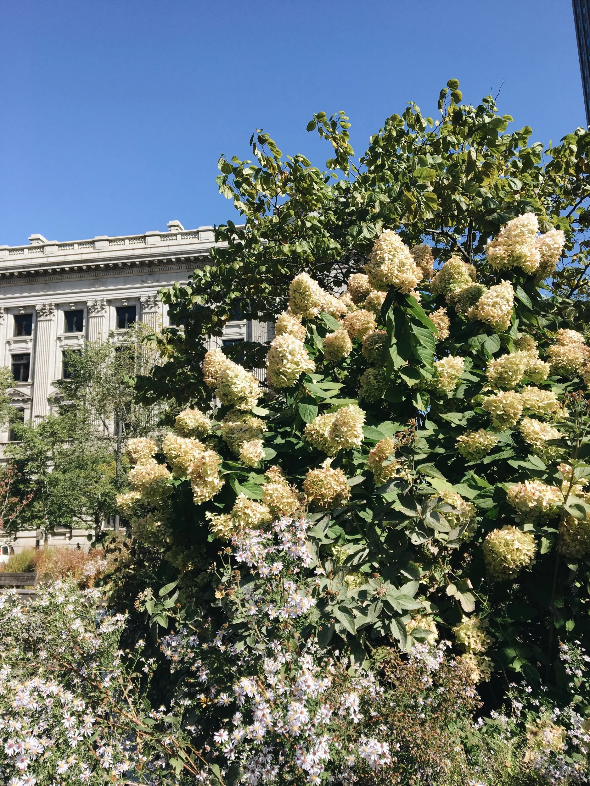 confessions of a (somewhat) young professional