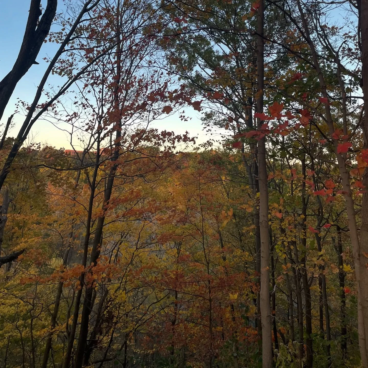 scenes from home &amp; away 🍁