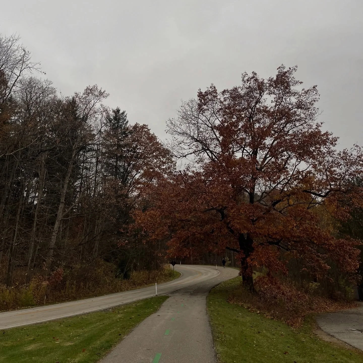 these oil painting days are what make ohio winters worth living through 🖼️