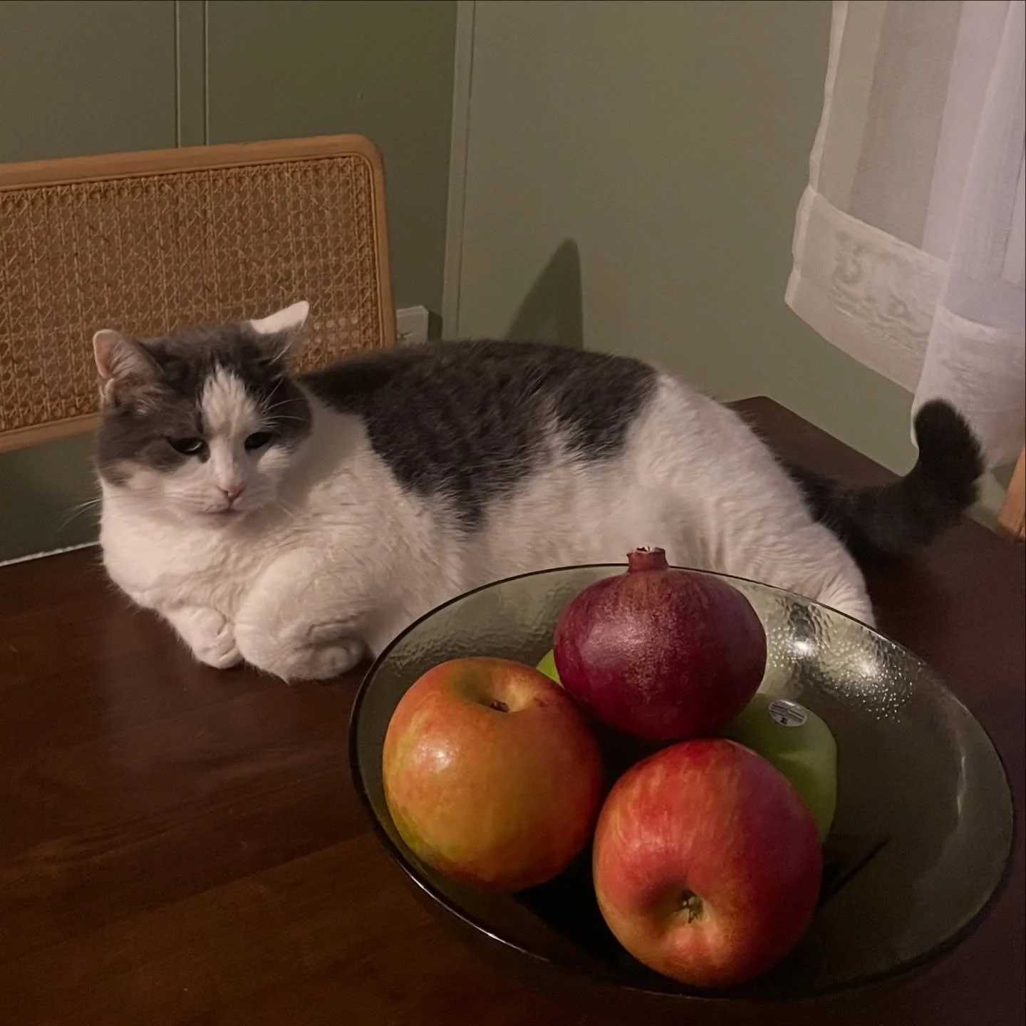 how nice it is to have so much to hold onto, in so many different places 🥲 🤍 happy thanksgiving to you &amp; yours