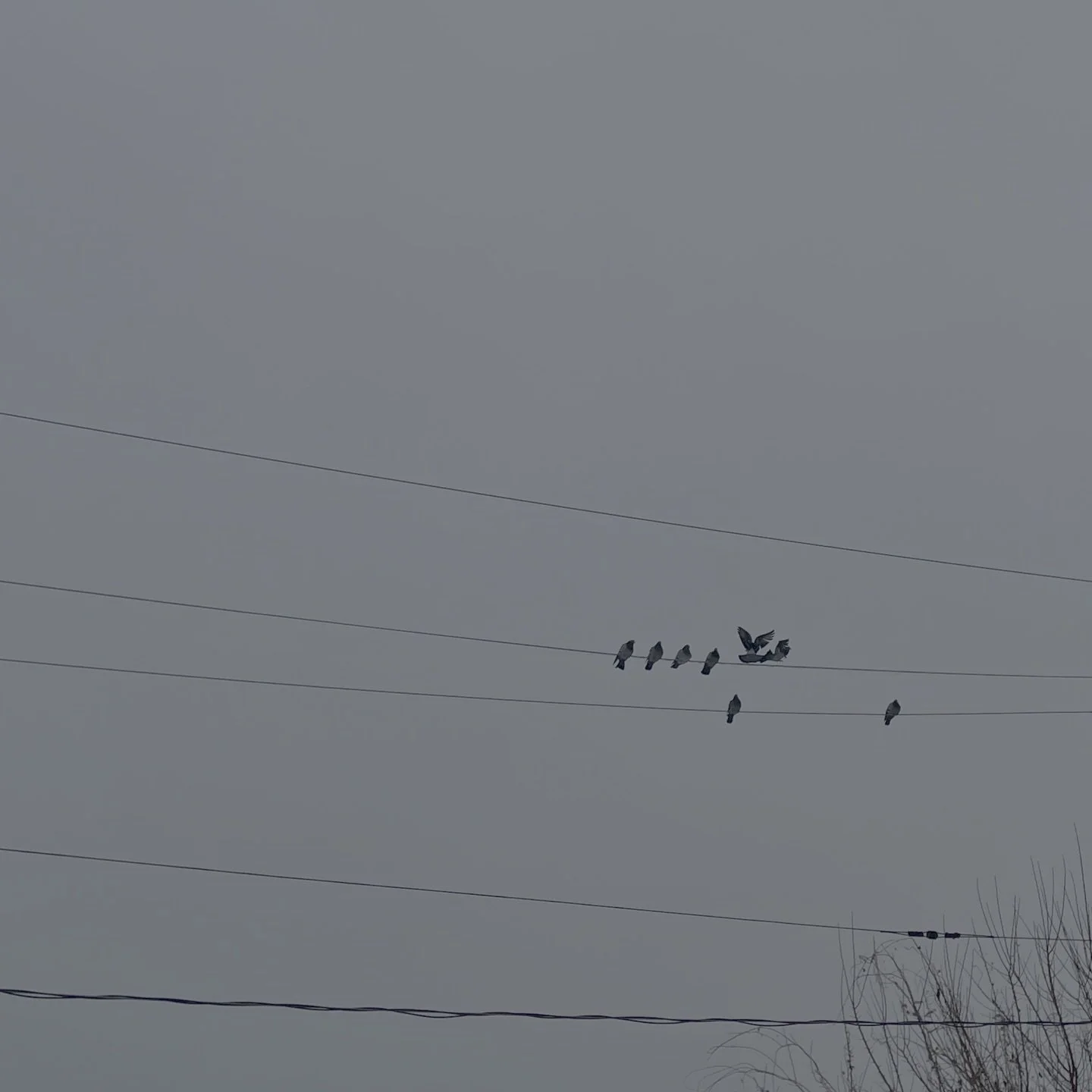 a farewell to november