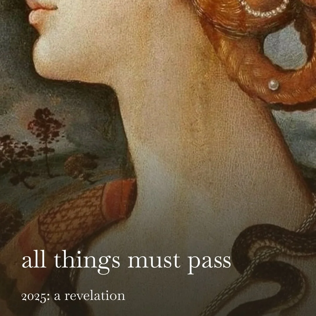 don&rsquo;t worry, another year-end reflection has been published on substack. who would have thought! 

in all seriousness, damn. 2025 was the year of the wood snake, and I certainly felt it. 

I&rsquo;m grateful for the friendships that anchored me