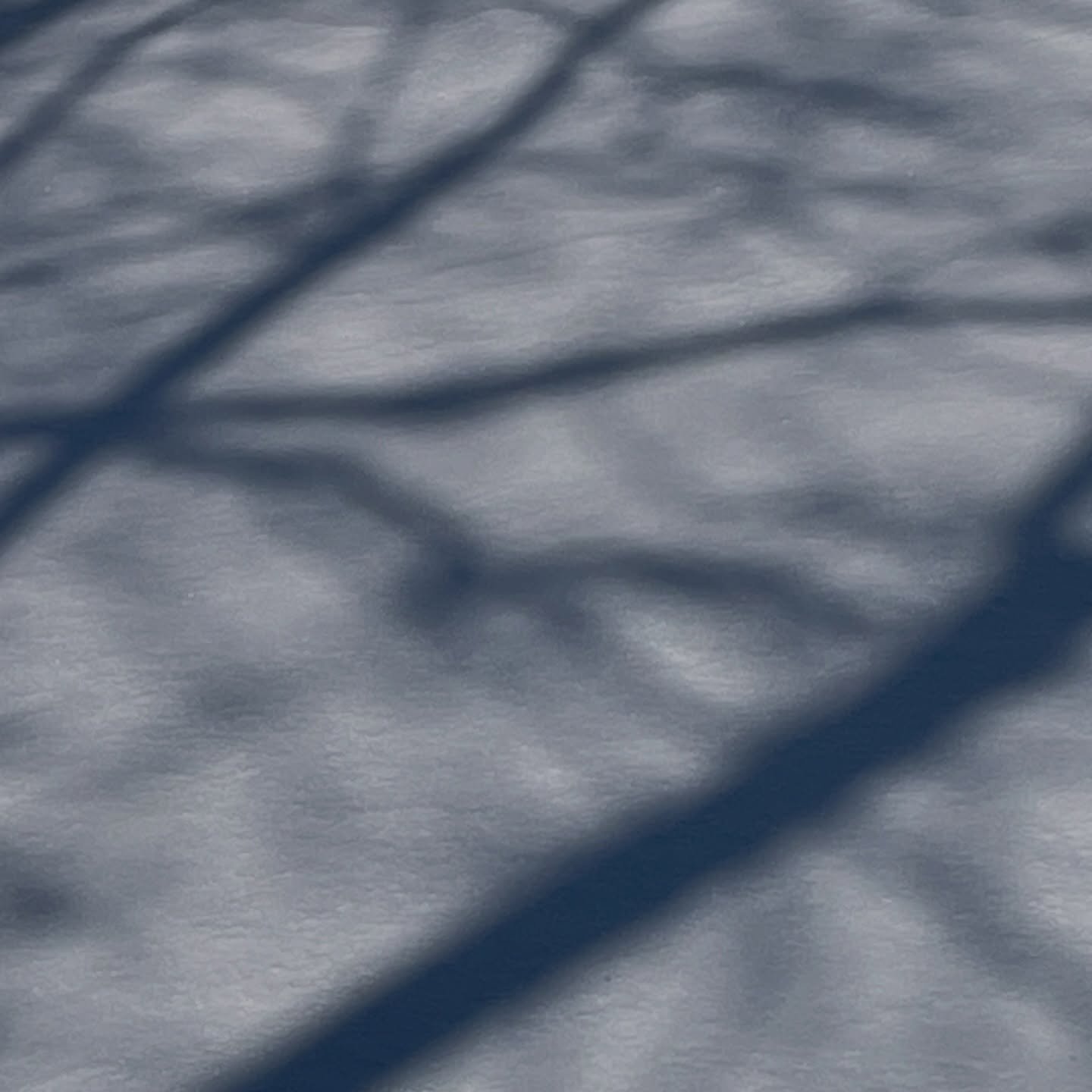 need this winter to Wrap It Up&trade;️ but my camera roll is suggesting perseverance and admiration and whimsy