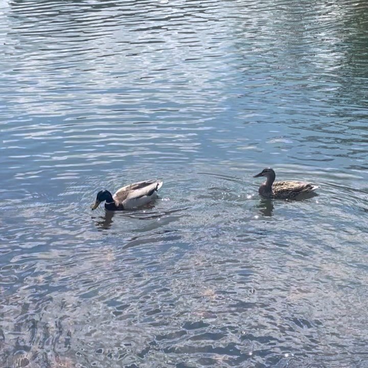 and for the lady, perhaps a pleasant start to Q2?