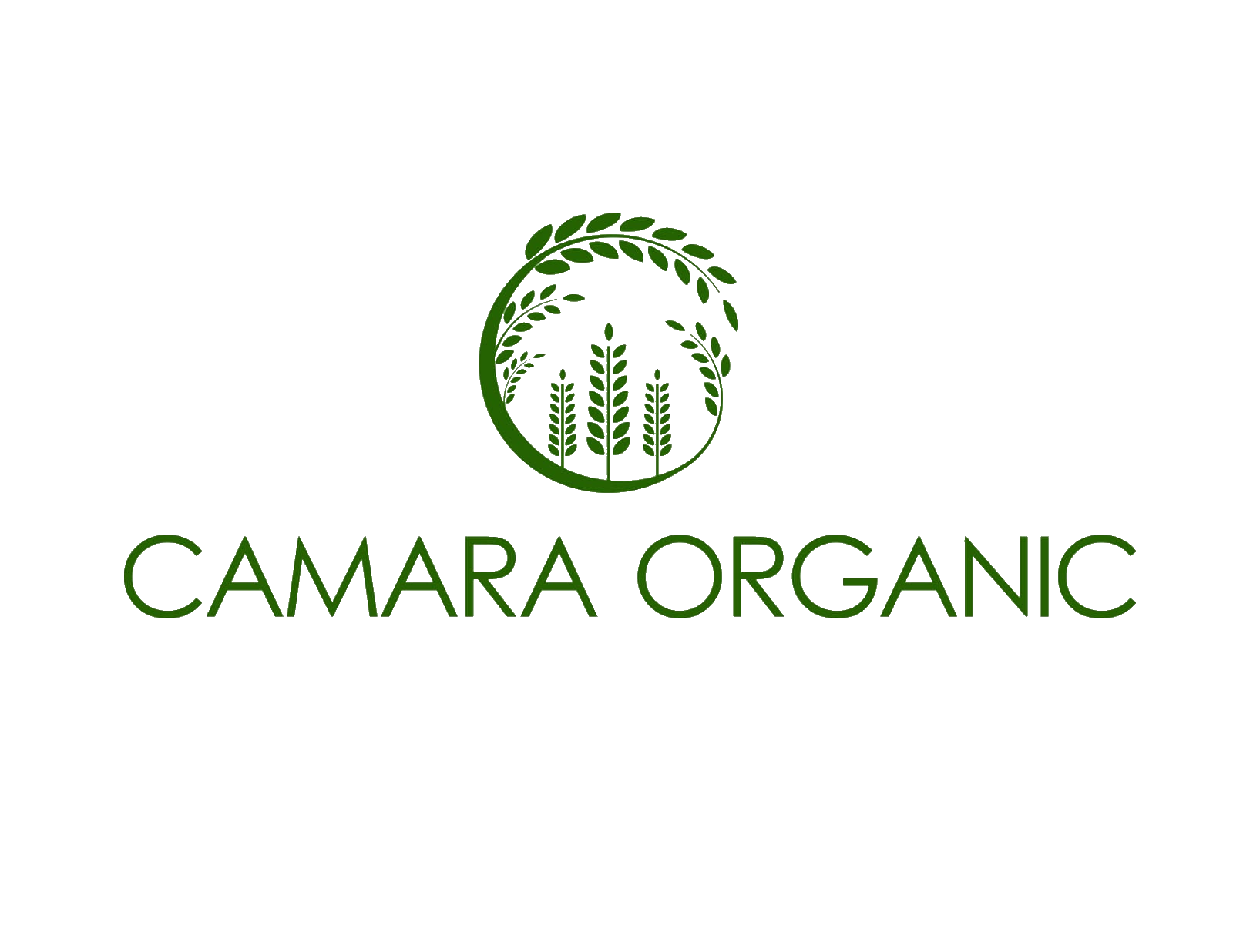 Camara Logo Transparent (2).png