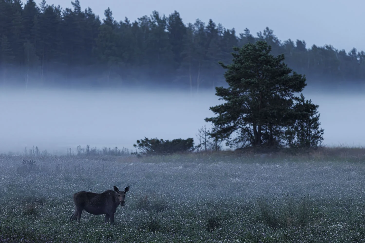 _MG_0592_edited 26.10.2025.jpg