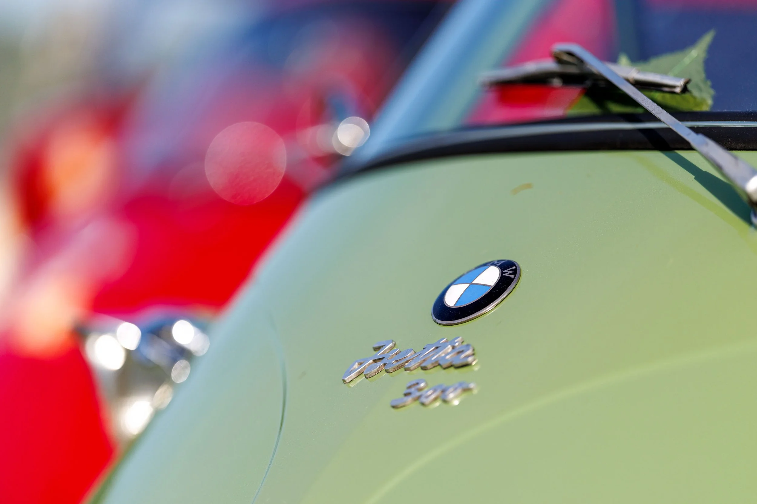 Microcar-Treffen 2026 Hallwilersee (6).jpg