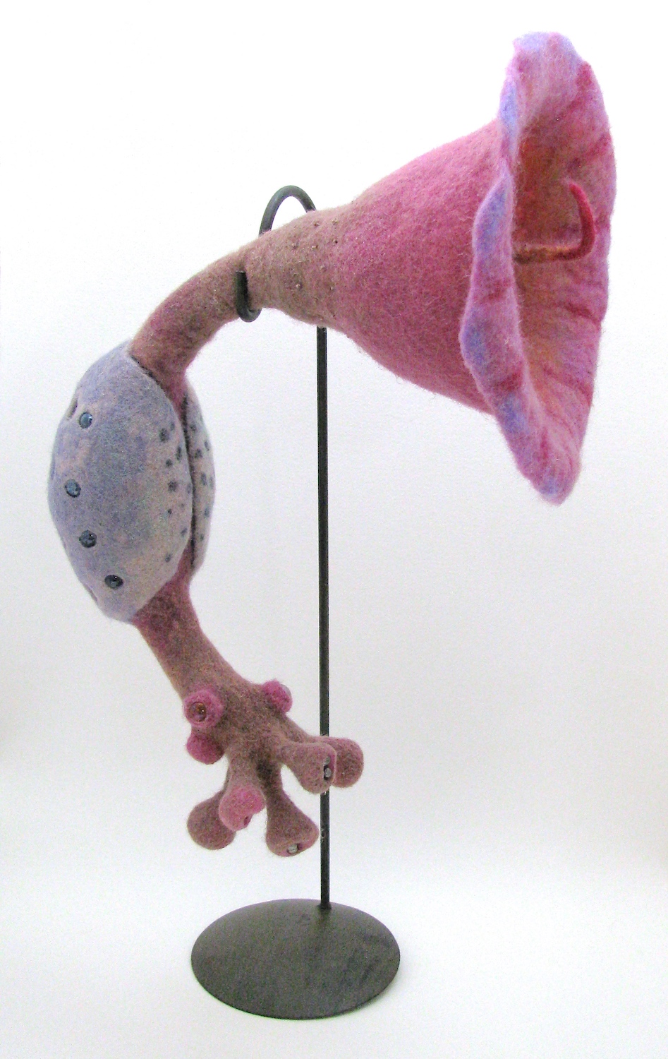 Kohnstamm_Florathuroidea.jpg