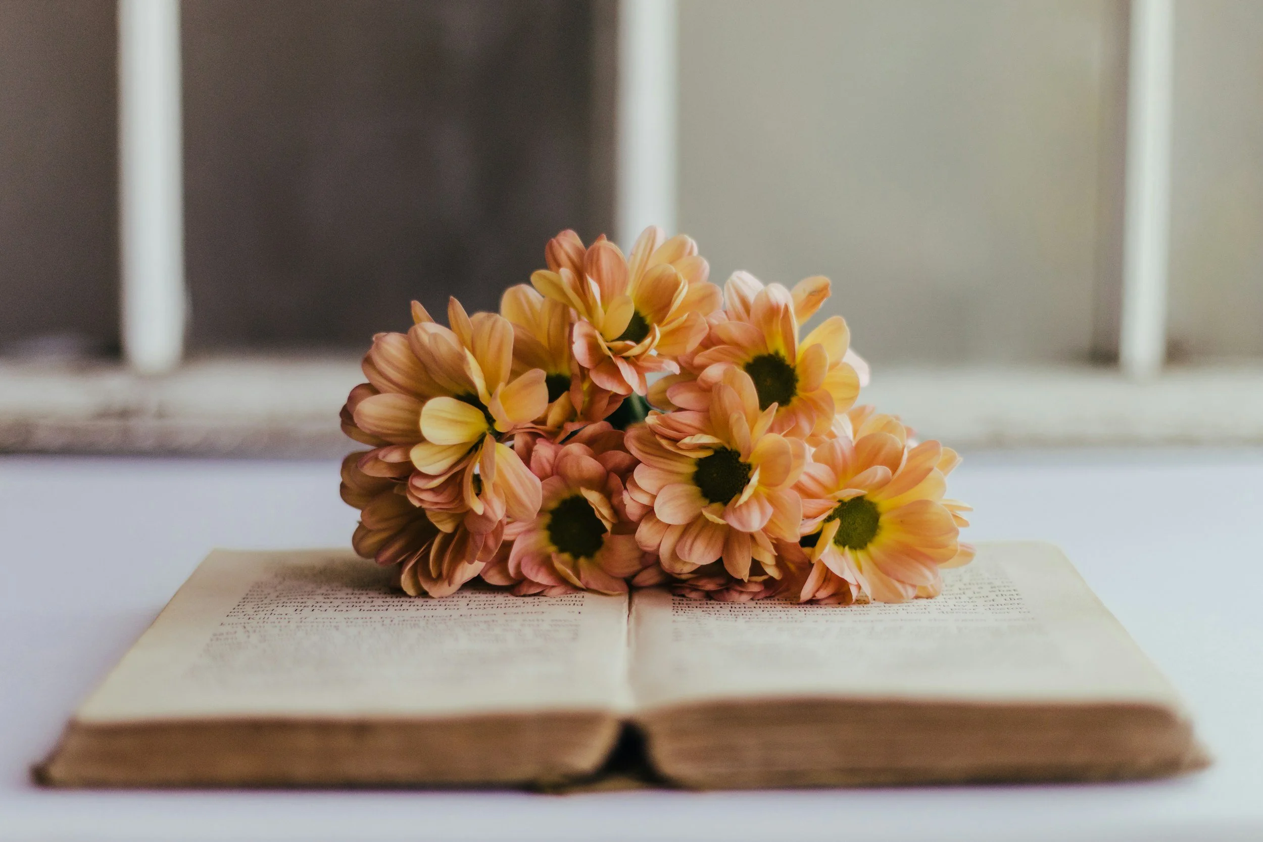 unsplash-image-izbz9y9j6ME.jpg