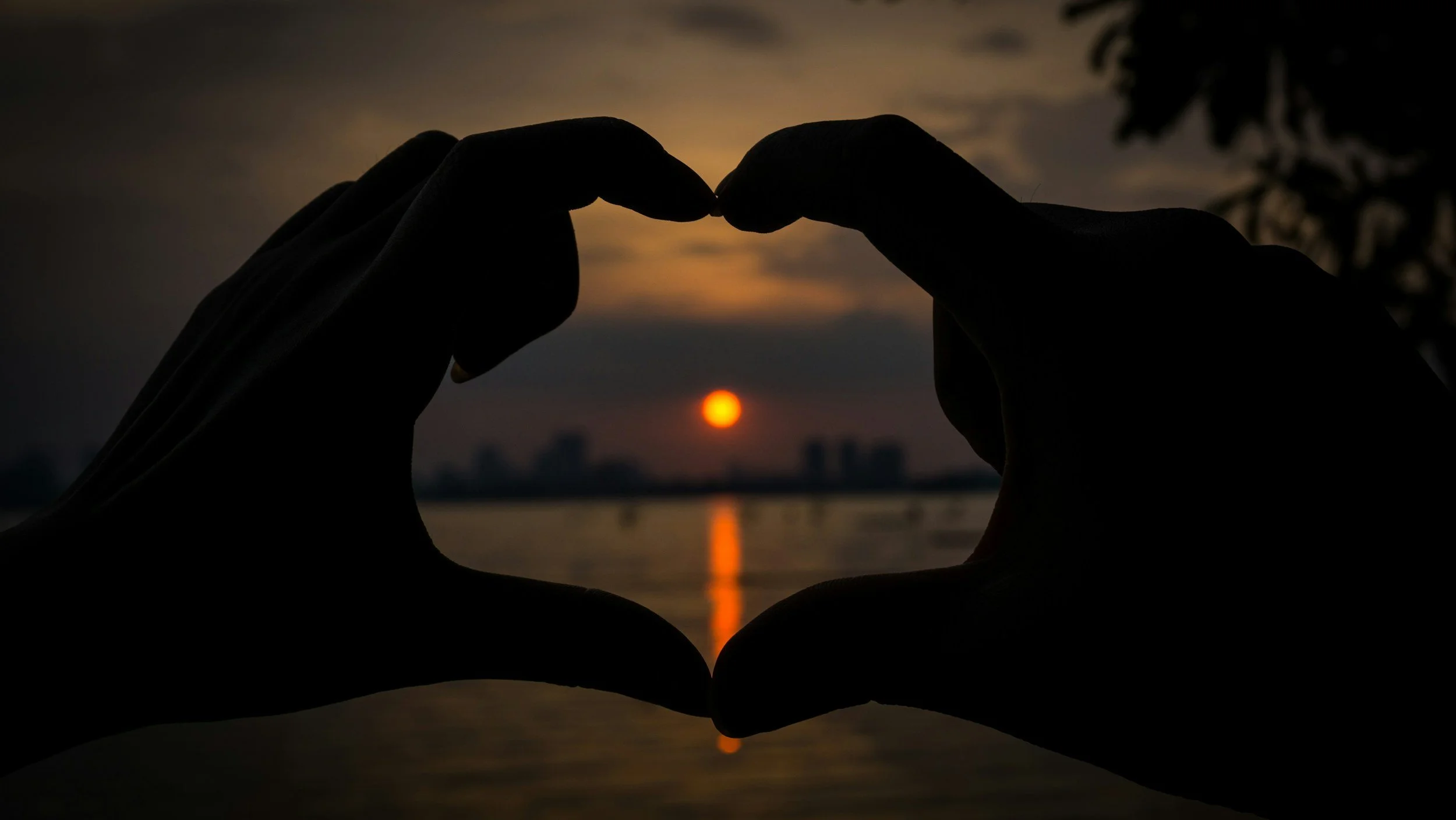 unsplash-image-s9n18yKZOe0.jpg