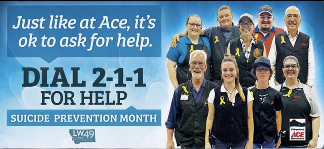 ACE Hardware BillBoard 89 South, Livingston, MT