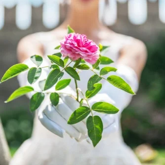 Single Stalk Bouquet