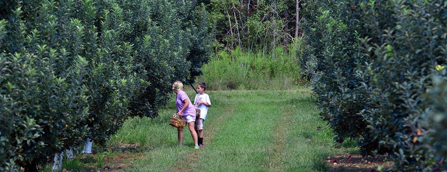 IMG_7945.jpg