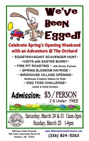 egged.jpg