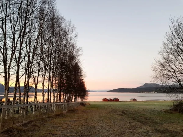 Liv og lys ved kirkevik kirkegård.