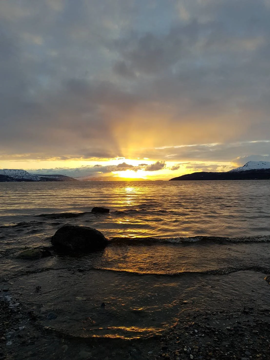 Naturens legende kraft.