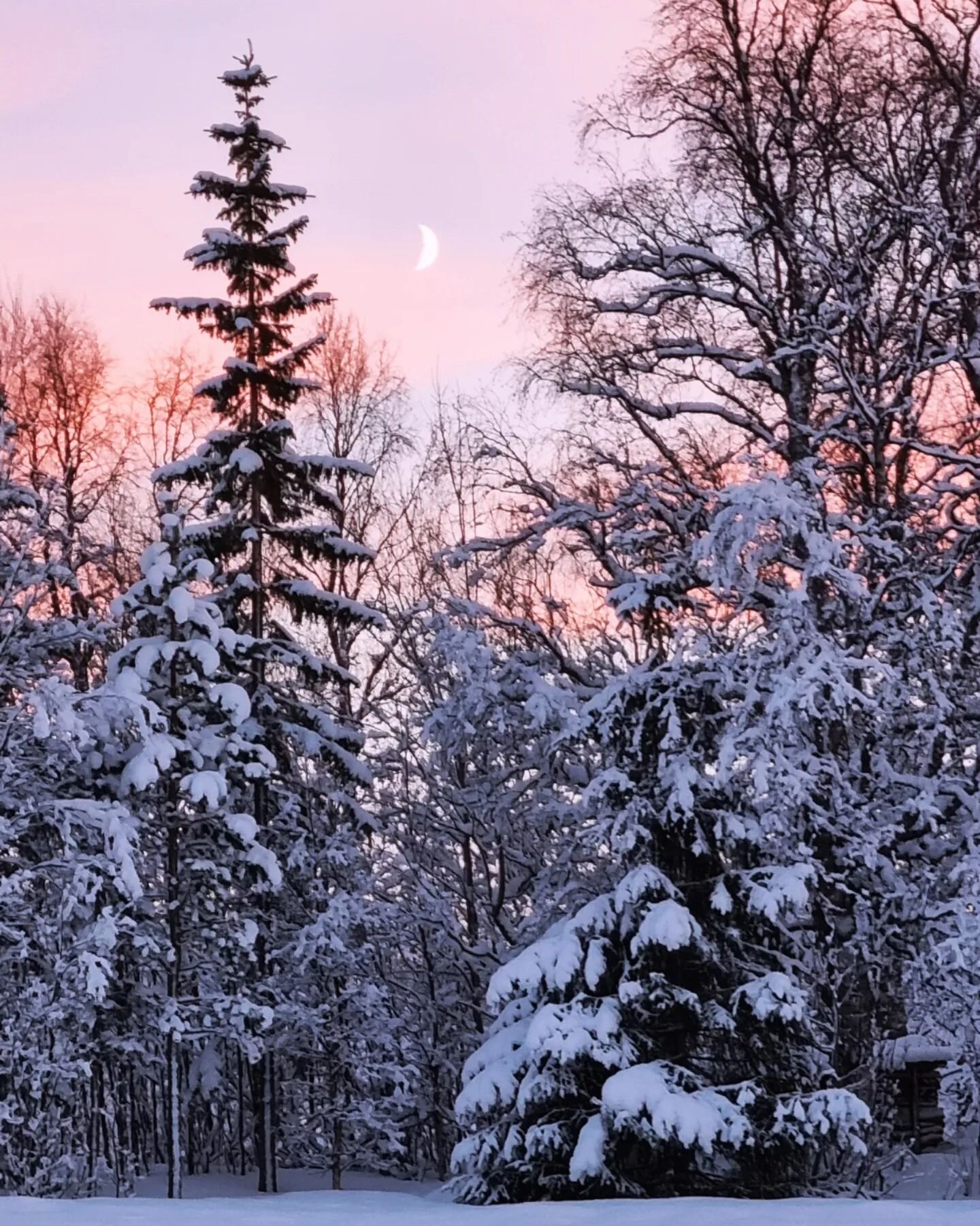 Kaldt, hvitt, klart og stille.
Da kom tonene til @trinestr Trine Strand til meg, fra l&aring;ta Mor Gustava. Takk for musikken, Trine!❤️